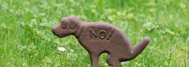 Dog-poop-pick-up-pollution