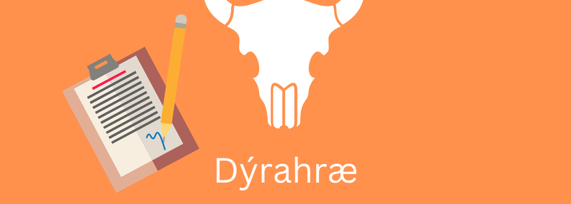 Dyra