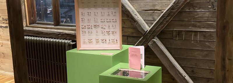 Gamlabud_1771946491836