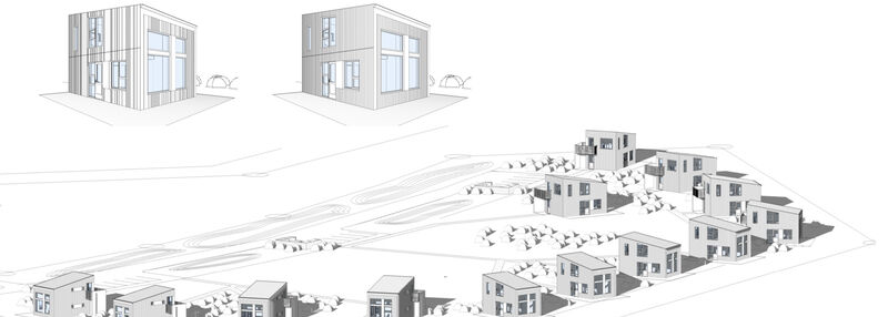 Grein-a-vefinn-Skaftafell-1