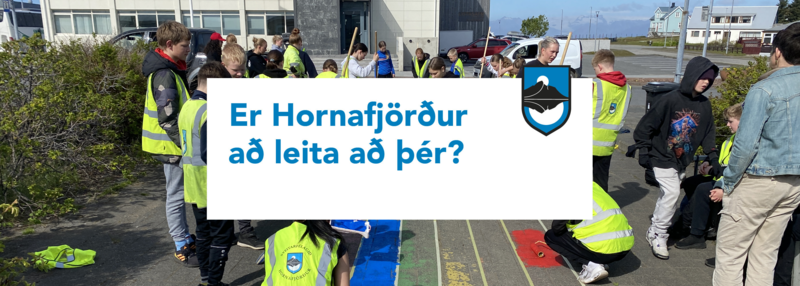 Hornafjordur_sumarstorf_vinnuskoli_vefur