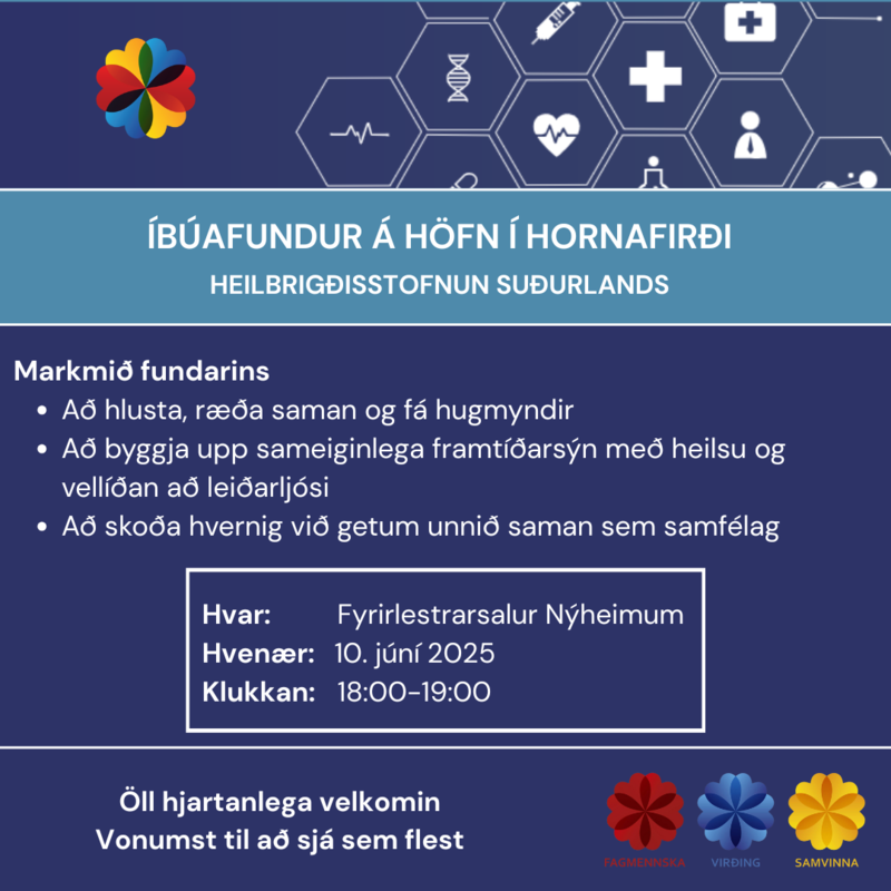HSU-ibuarfundur