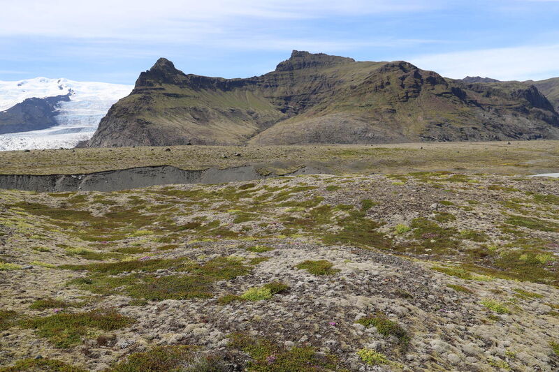 IMG_3190_Easy-Resize.com