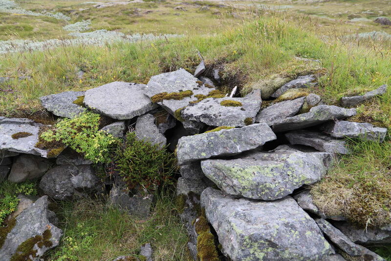 IMG_3366_Easy-Resize.com