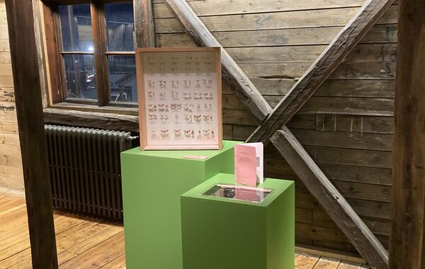 Gamlabud_1771946491836