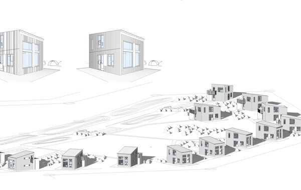 Grein-a-vefinn-Skaftafell-1