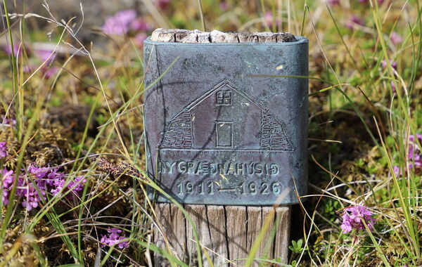 IMG_3116_Easy-Resize.com