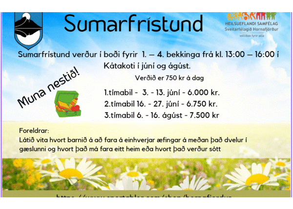 Sumarfristund-2025_1748274202476