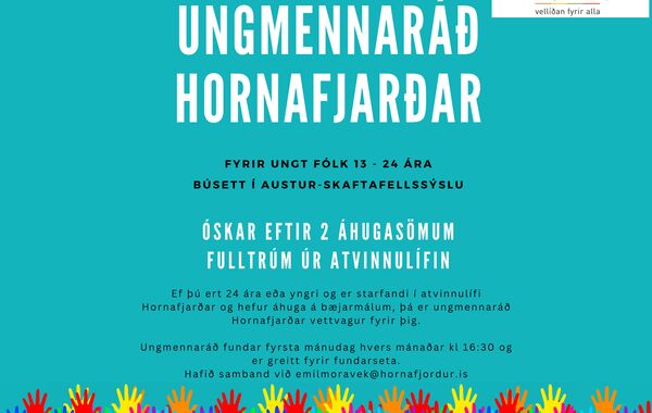 Ungmennarad-Atvinnulifid